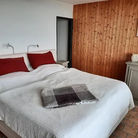 Apartment Ute Am Geyersberg