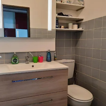 Ute Am Geyersberg Inkl Aktivcard Bayrischer Wald Apartment *